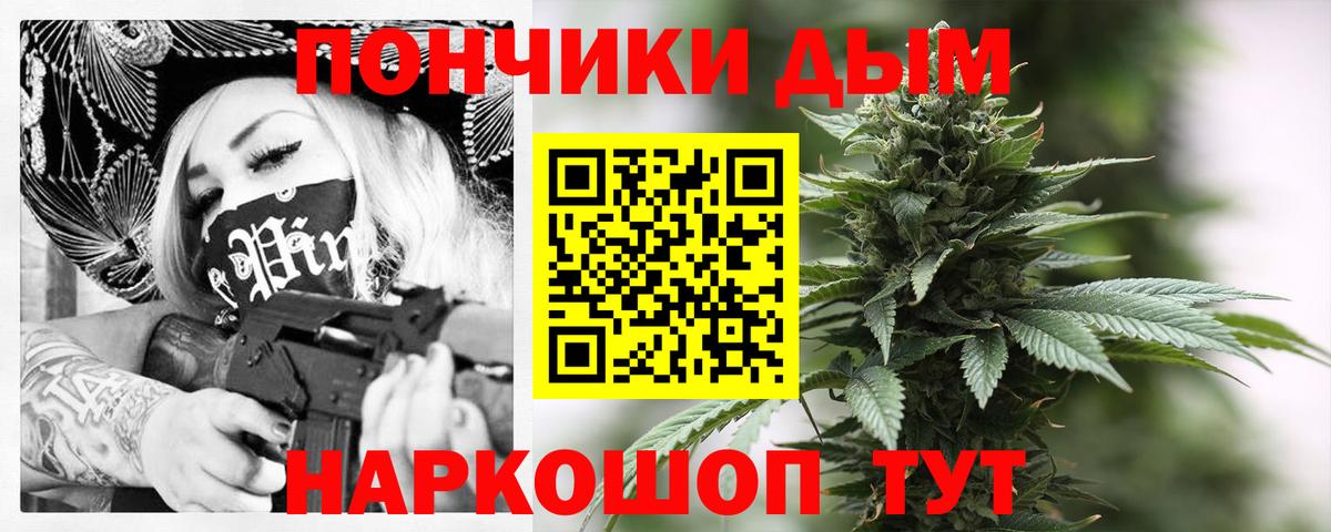 Конопля индика Губаха